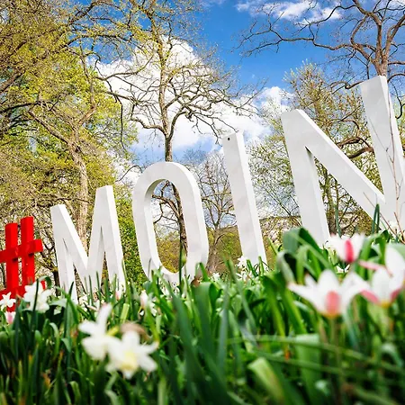 Dorint City-hotel Hotel